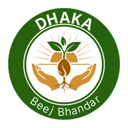 Dhaka